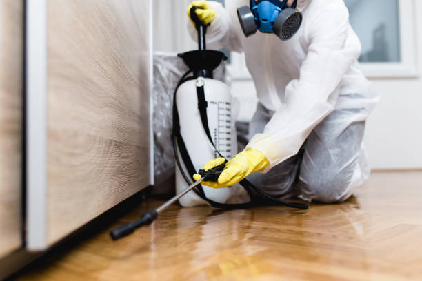 Best Exterminator Services  in Haledon, NJ
