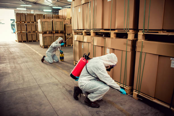 Best Best Pest Control Companies  in Haledon, NJ