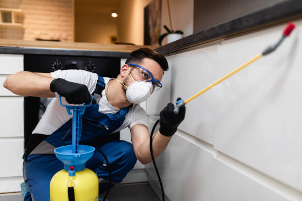  Haledon, NJ Pest Control Pros