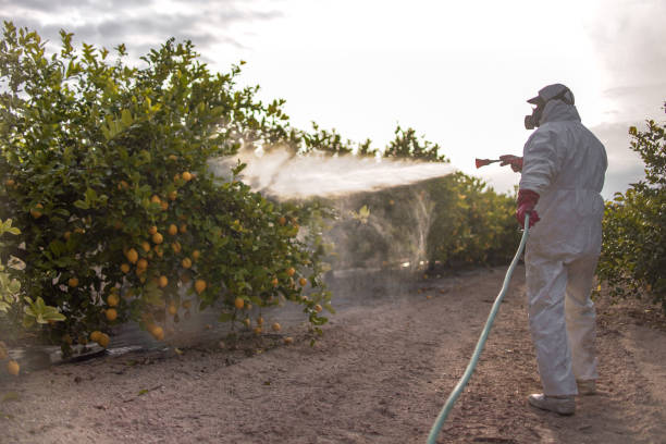 Best Pest Control for Homes  in Haledon, NJ