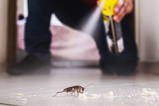 Best Pest Control Near Me in Haledon, NJ