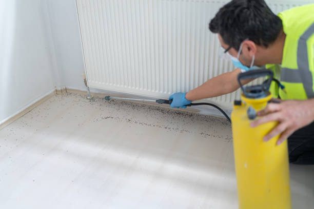 Best Pest Prevention Services  in Haledon, NJ